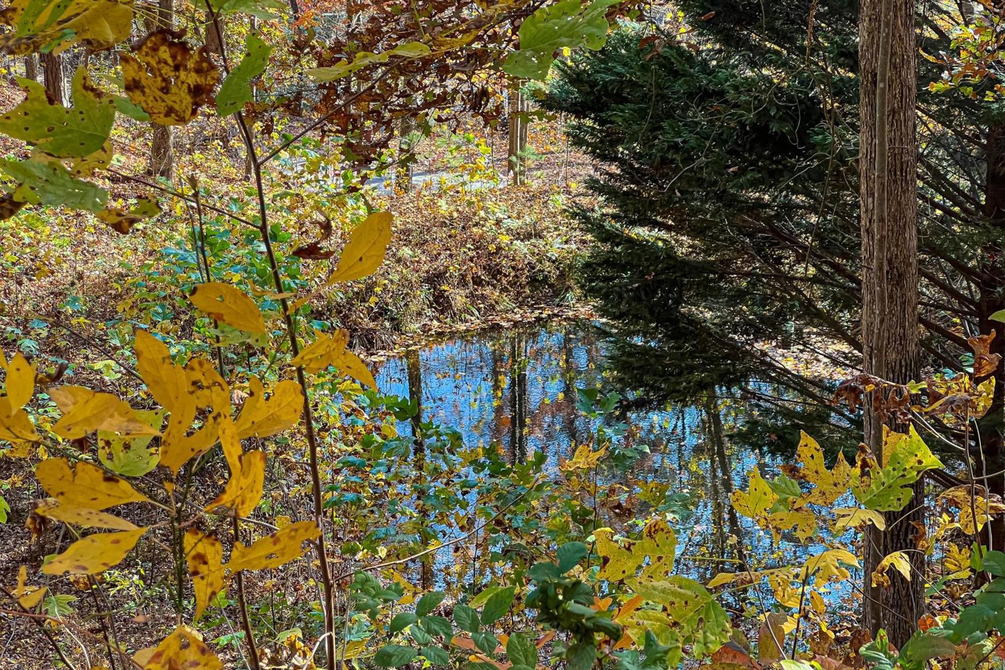 Best Kept Secret Blue Ridge Exteriör bild